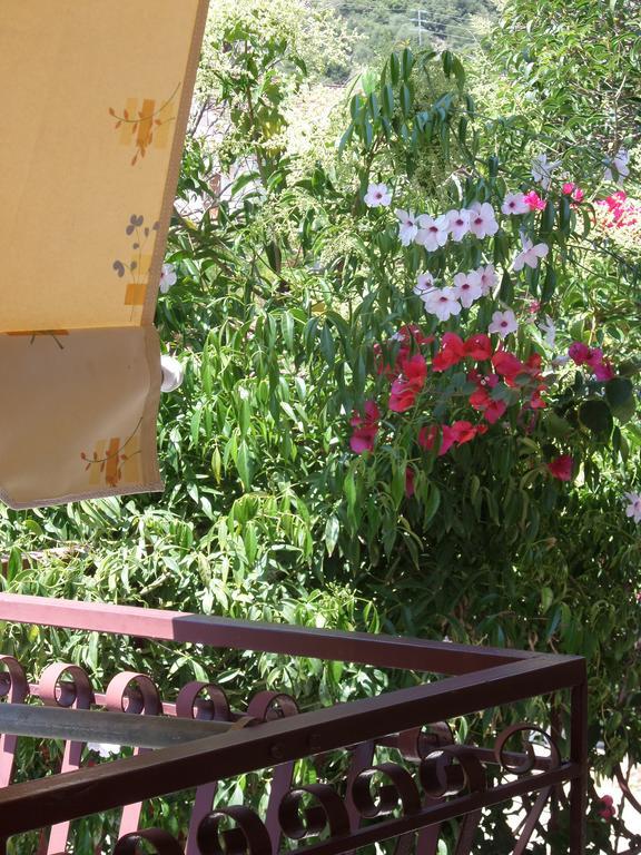 Stamoulis Apartments Айя-Евфимия Экстерьер фото